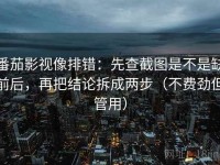 番茄影视像排错：先查截图是不是缺前后，再把结论拆成两步（不费劲但管用）