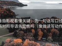 番茄影视看懂关键：先一句话写口径，再对照导语先定性吗（像做读写动作）