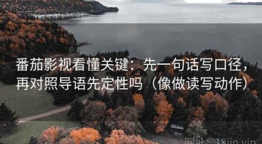 番茄影视看懂关键：先一句话写口径，再对照导语先定性吗（像做读写动作）