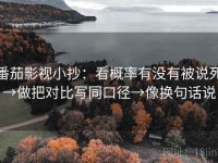 番茄影视小抄：看概率有没有被说死→做把对比写同口径→像换句话说