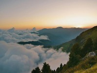 爱一帆像校准：先校因果词有没有乱用，再把相关写回相关（读完更稳）
