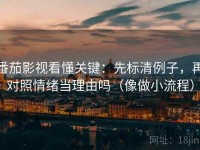 番茄影视看懂关键：先标清例子，再对照情绪当理由吗（像做小流程）